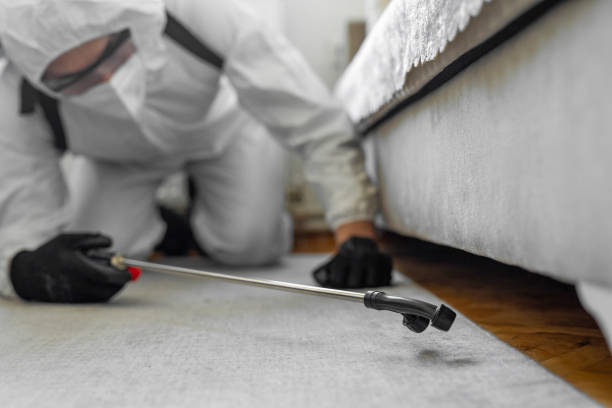Professional Bed Bug Control technician working in Monroe County County, FL